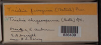 Image Associated With the Occurence
